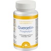 Quercetin-Phospholipid Papain Bromelain Zink