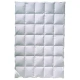 billerbeck Billerbeck, Duvet, Gabriela 90 (1400 g, 135 x 200 cm