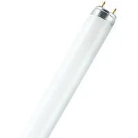 Osram LUMILUX INTERNA 36W G13 (325699)