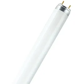 Osram LUMILUX INTERNA 36W G13 (325699)