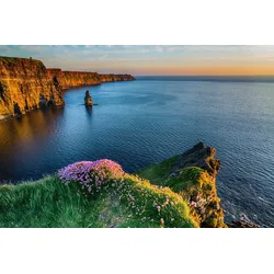 Fototapete PAPERMOON "MOHER IRLAND-STRAND KLIPPEN KÜSTE BLUMEN MEER GEBIRGE", bunt, B:5,00m L:2,80m, Vlies, Tapeten