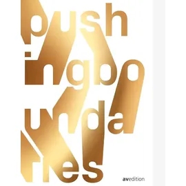 avedition Pushing Boundaries