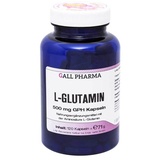 Hecht Pharma L-Glutamin 500 mg GPH Kapseln 120 St.