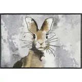 Wash+Dry Hopps 50x75cm (026481)