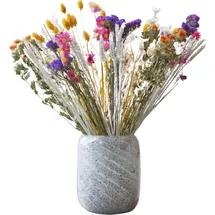 Plant in a Box - Blumenstrauß 'Patrice' - Getrocknete Blumen - Höhe 55cm