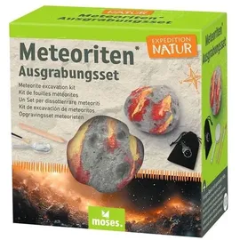 Moses Expedition Natur Meteoriten Ausgrabungsset