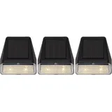 STAR Solarleuchte Kunststoff 7x7,5 cm 3er Set schwarz