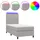 vidaXL Boxspringbett 100 x 200 cm Hellgrau