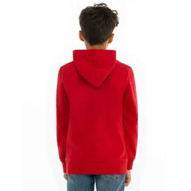 Levi's Levi ́s ® Kids Batwing Screenprint Kapuzenpullover - Levis Red White 14 Jahre