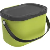 Rotho 1054605070WS 3,2 L Oval lime