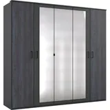 WIMEX Kleiderschrank Kopenhagen Digi-Steel optik, B/H/T: ca. 225x208x58 cm