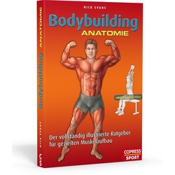 Bodybuilding Anatomie