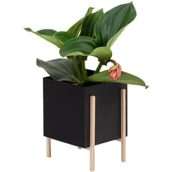 Design House Stockholm - Botanic Pot, schwarz / natur