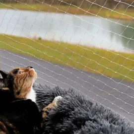 LIONTO Katzenschutznetz 4x10 m Transparent/Weiß