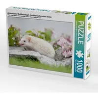 Calvendo Afrikanischer Weißbauchigel - Insekten schmecken lecker (Puzzle)