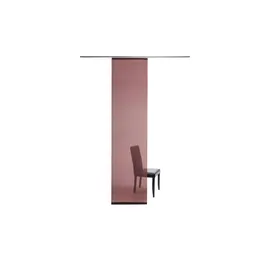 Homing Schiebevorhang ¦ rot ¦ Maße (cm): B: 60