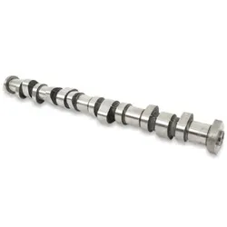 AE Nockenwelle VW,AUDI,SKODA CAM701 059109021BQ,059109021L,059109021P