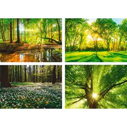 Artland Poster »Wald Bach Frühling Windrosen Sonne Baum«, Wald, (4 St.), Poster, Wandbild, Bild, Wandposter Artland Farbe Bild(er): grün