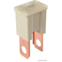 Herth+Buss HERTH&BUSS ELPARTS Sicherung 50295450