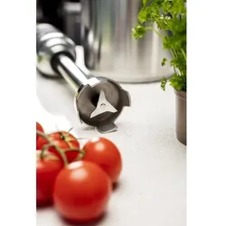 Gastronoble Buffalo Stabmixer mit variabler Geschwindigkeit und 300-mm-Schaft