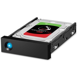 LaCie 1big Dock 4 TB Thunderbolt 3 schwarz