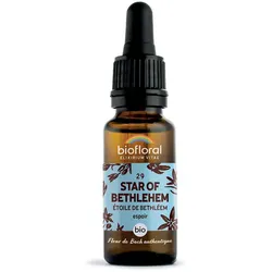 Biofloral 29 - Stern von Bethlehem - Etoile de Bethléem - 20 ml