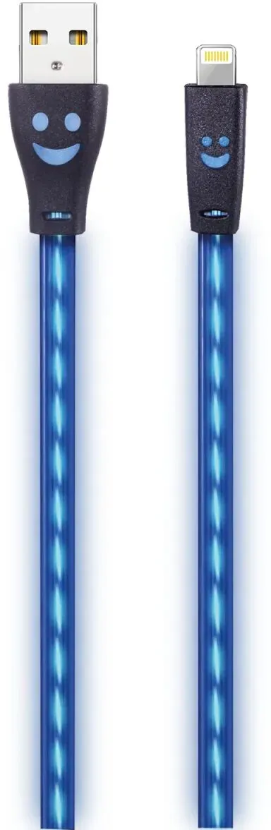 2GO 795536 Lightning-Kabel 1 m Blau