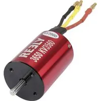 Reely Motor Brushless 3650
