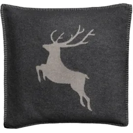 David Fussenegger Sylt Hirsch 50x50cm