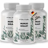 xtra fuel Shilajit Kapseln Original Himalaya Mumijo 1000 mg 3 x 200 St.