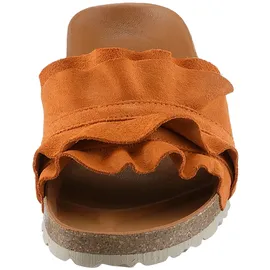 Verbenas Rocio Roda orange 37