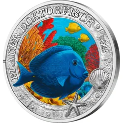 Österreich 2024: 3 Euro-Münze "Blauer Doktorfisch - Meereswelten"