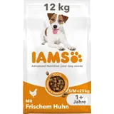 Iams Advanced Nutrition Adult Small & Medium Dog Huhn 2 x 12 kg