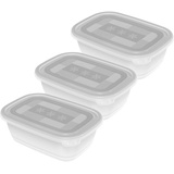 Rotho Freeze Vorratsdosen = Lunchbox, transparent, 3 Stück(e)