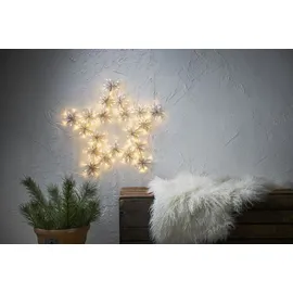 Star Trading Weihnachtsbeleuchtung, Stern Silhouette 'Flower, 200 ww LED