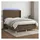 vidaXL Boxspringbett mit Matratze & LED Dunkelbraun 140x200 cm Stoff