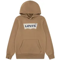 Levi's Levi ́s Sweatshirt mit Siebdruck in braun, |