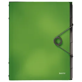 Leitz Ordnungsmappe A4 Grün