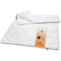 sleepling Basic 100, 4-Jahreszeitendecke, Steppbett 135x200 cm, allergikergeeignet (19000000042)