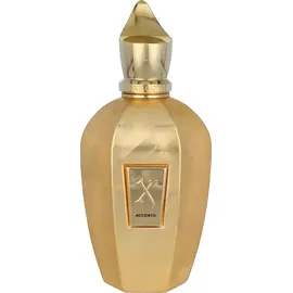 Xerjoff Accento Overdose Eau de Parfum 100 ml