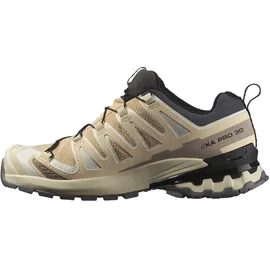 Salomon XA Pro 3D V9 GTX Damen Hazelnut/Tender Peach/Black 40