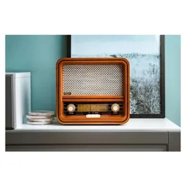Camry CR 1188 braun
