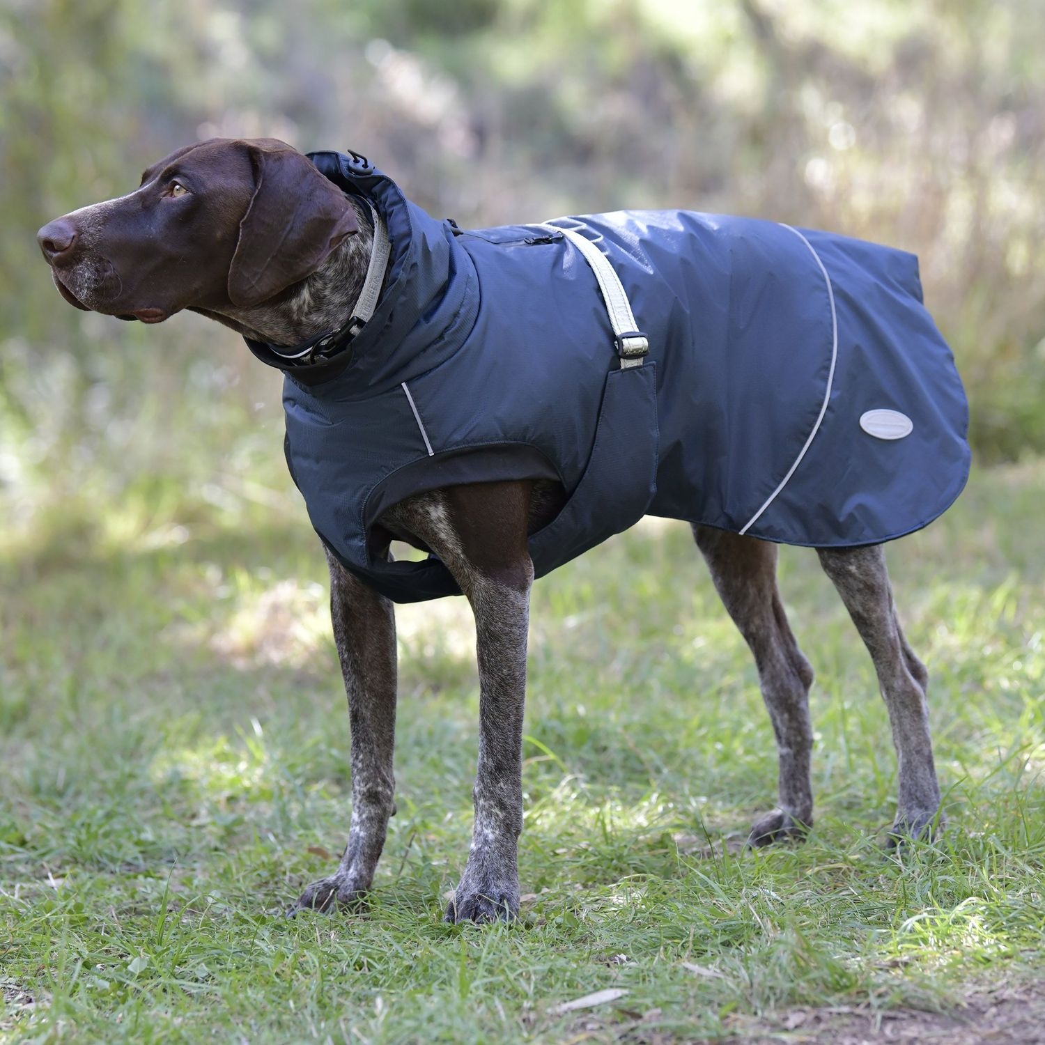 Weatherbeeta Explorer Medium Hundemantel, 30