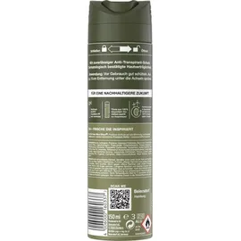 8X4 Deo Spray Wild Oak 6 x 150 ml