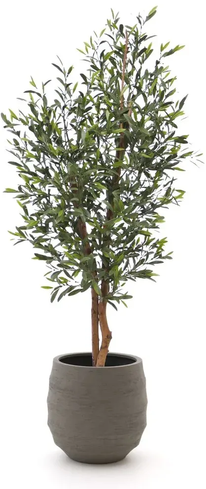 Designplants/Luca Lifestyle Oliven Kunstbaum (h:150 cm) mit Bordo Balloon Blumentopf