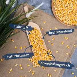 Lyra Pet 10 kg Lyra Pet® Futtermais Qualitätsfutter Körnermais in 30 L Tonne