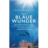 Ludwig Das blaue Wunder