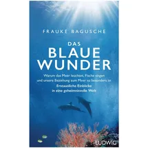 Ludwig Das blaue Wunder