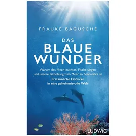 Ludwig Das blaue Wunder