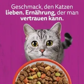 Whiskas 1+ Rind 800 g